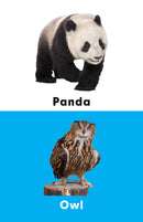 A to Z Learning - Wild Animals