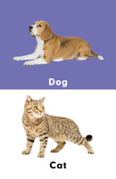 Pet Animals : A to Z Learning