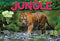 Jungle - 3D Pop-up Book