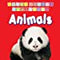 First Padded Board Book - Animals : Early Learning Children Book By Dreamland Publications