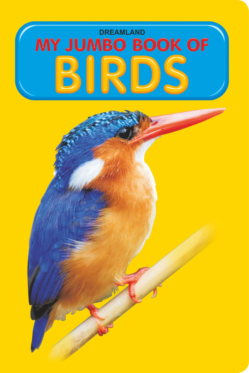 My Jumbo Book - BIRDS : Early Learning Children Book By Dreamland Publications 9788184515749