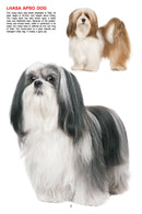 My Jumbo Book - DOG : Early Learning Children Book By Dreamland Publications 9788184516210