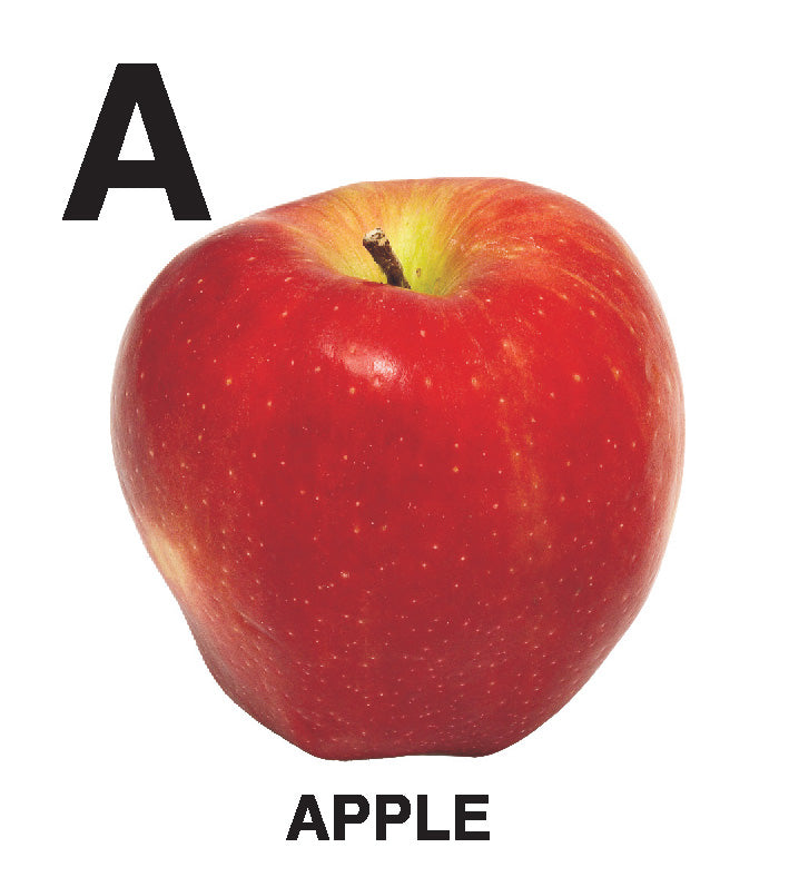 First Padded Board Book - Gift Pack (10 Titles) : Early Learning Children Book By Dreamland Publications