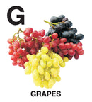 First Padded Board Book - Gift Pack (10 Titles) : Early Learning Children Book By Dreamland Publications