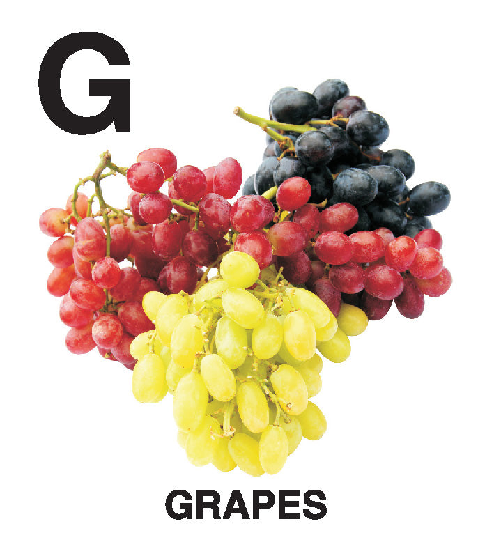 First Padded Board Book - Gift Pack (10 Titles) : Early Learning Children Book By Dreamland Publications