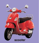 First Padded Board Book - Gift Pack (10 Titles) : Early Learning Children Book By Dreamland Publications