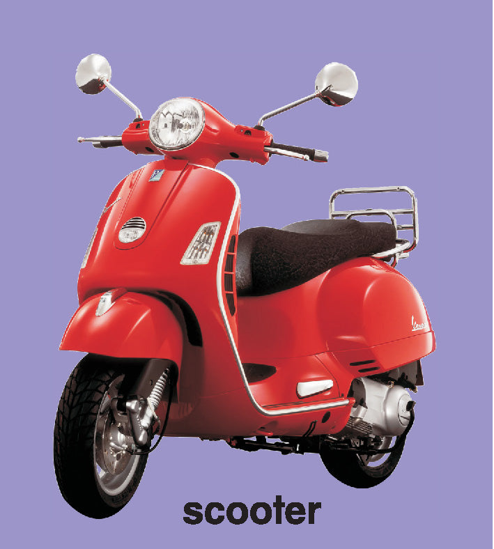 First Padded Board Book - Gift Pack (10 Titles) : Early Learning Children Book By Dreamland Publications