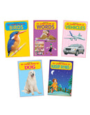My Jumbo Book - Pack (5 Titles) : Early Learning Children Book By Dreamland Publications 9788184518054