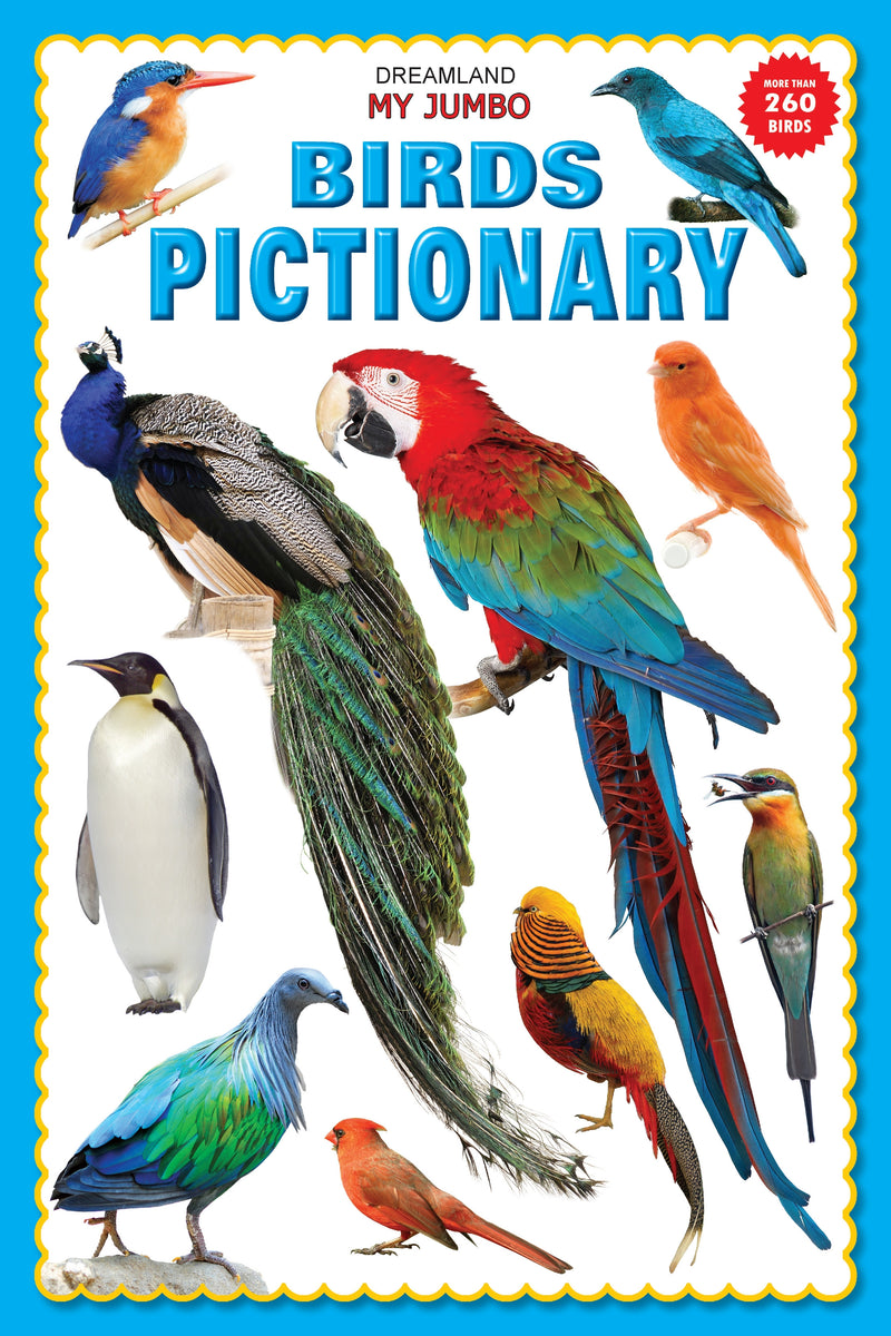 My Jumbo Birds Pictionary : Picture Book Children Book By Dreamland Publications 9789350890011