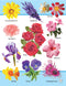 First 1000 Words : Early Learning Children Book By Dreamland Publications 9789350892923