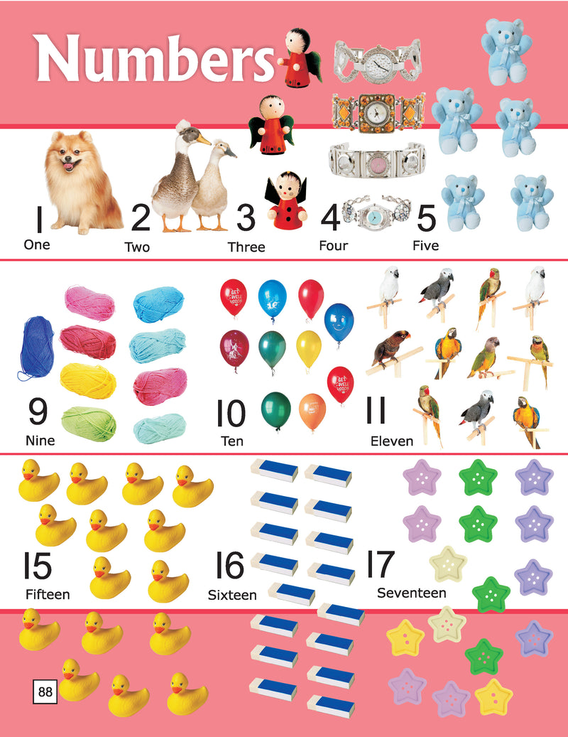 First 1000 Words : Early Learning Children Book By Dreamland Publications 9789350892923