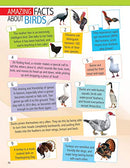 Animals and Birds Minipedia : Reference Children Book By Dreamland Publications