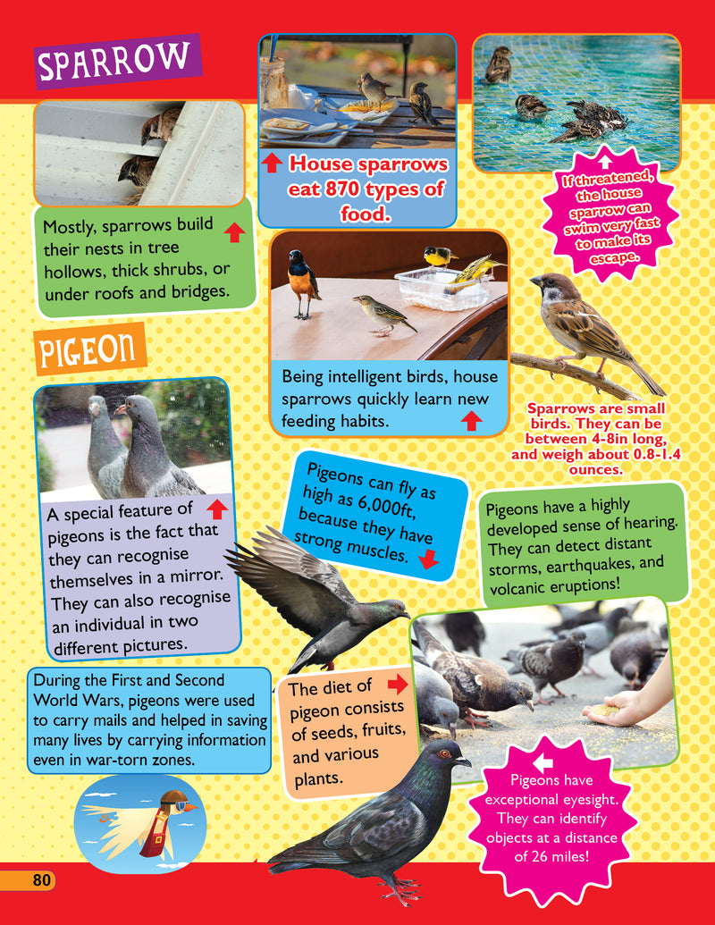 365 Facts on Animals and Birds : Reference Children Book By Dreamland Publications
