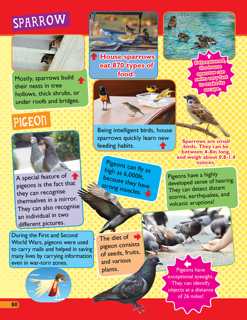 JoGenii |365 Facts on Animals and Birds Dreamland Publications