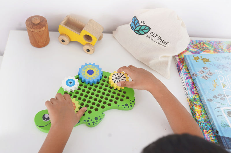 Tortoise Gear Toy