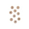 Number Coins