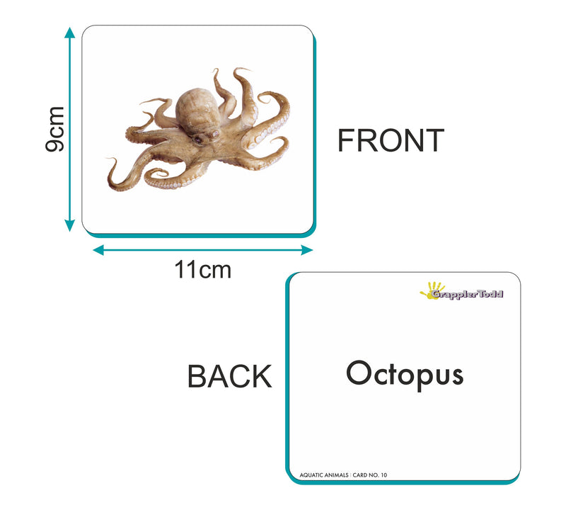 Aquatic Animals Flash Cards |GrapplerTodd Flashcards for Kids Early Learning Flash Cards Easy and Fun Way of Learning 6 Months to 6 Years Babies