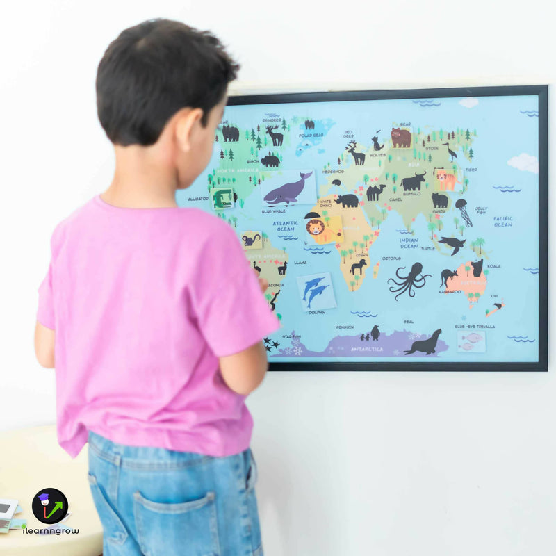 Animals found in the Continent Magnetic board