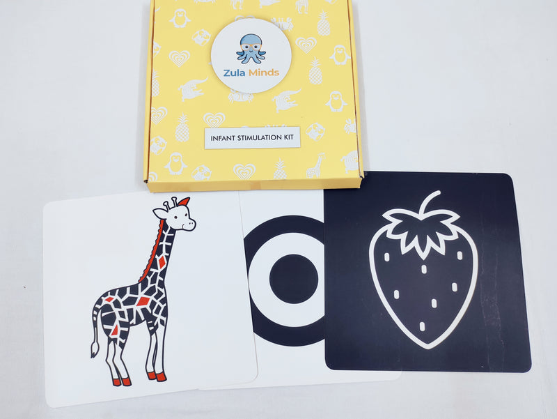 ZulaMinds Infant Stimulation Kit - JUMBO Size - Combo pack - 20 card pack Kit