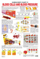 The Blood Group, Cells & Pressure : Reference Educational Wall Chart By Dreamland Publications
