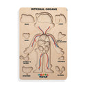 Nesta Toys, educational toys, homeschooling toys, Nesta toys, wooden toys, pretend play toys, role play toys, toys for toddlers, gift ideas for kids, human body puzzle, human anatomy puzzle, wooden puzzle
