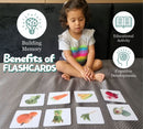Insects Flash Cards |GrapplerTodd Flashcards for Kids Early Learning Flash Cards Easy and Fun Way of Learning 6 Months to 6 Years Babies