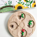 Wooden Life Cycle Board, Nature and Science Learning Aid