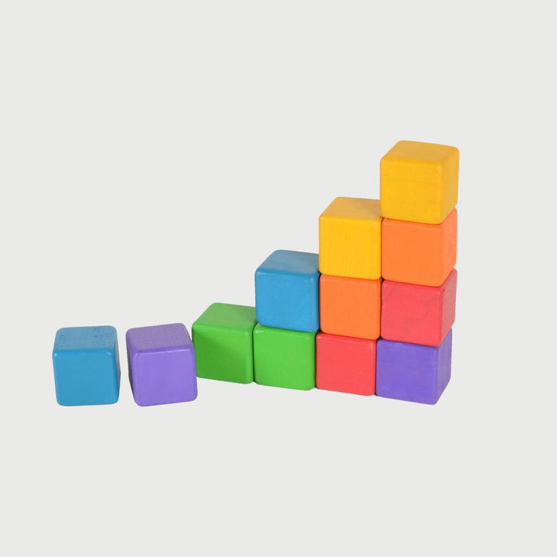Baby’s First Basic Blocks - Set of 12