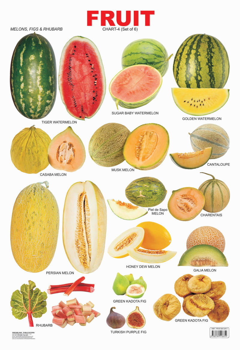 Fruit Chart - 4 : Reference Educational Wall Chart By Dreamland Publications 9788184516654