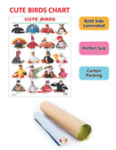 Cute Birds : Reference Educational Wall Chart By Dreamland Publications 9788184511178
