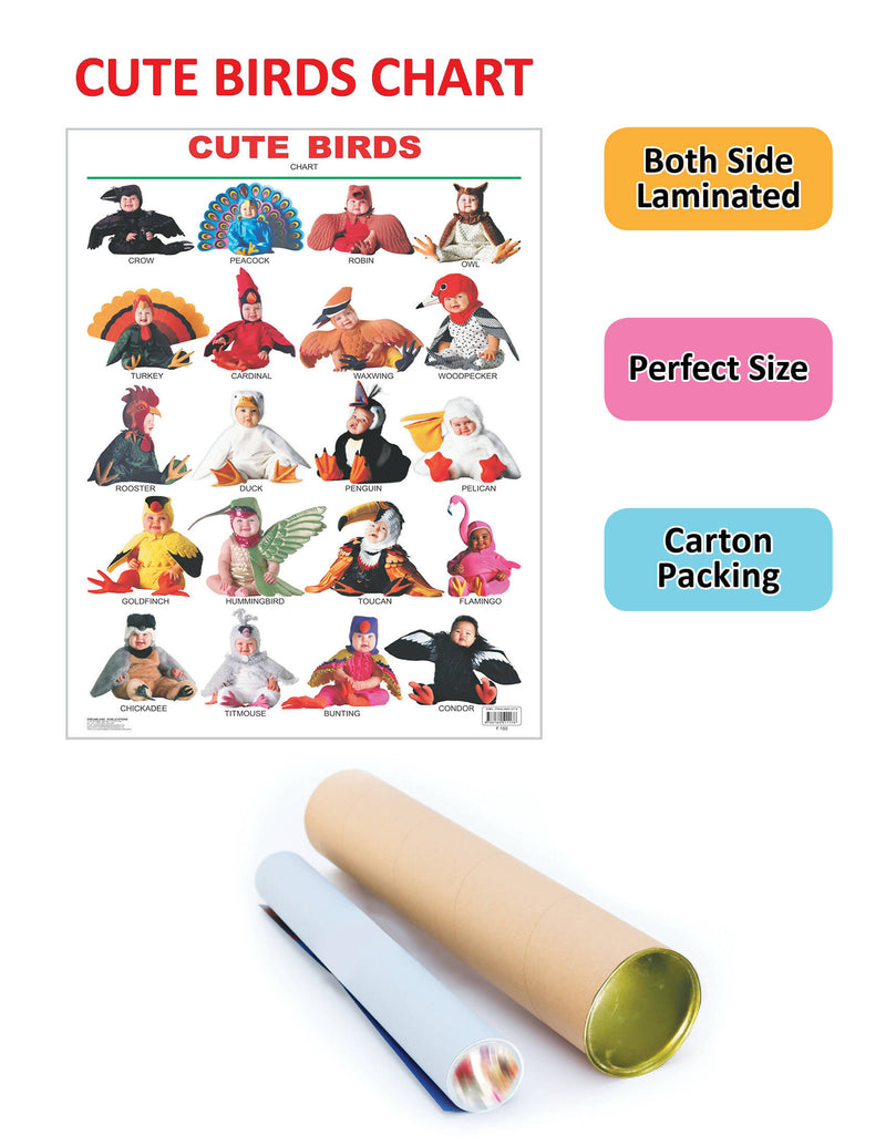 Cute Birds : Reference Educational Wall Chart By Dreamland Publications 9788184511178