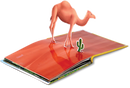 Animals Pop-up Book