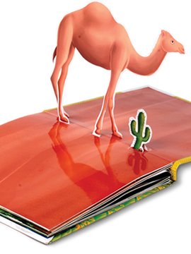 Animals Pop-up Book
