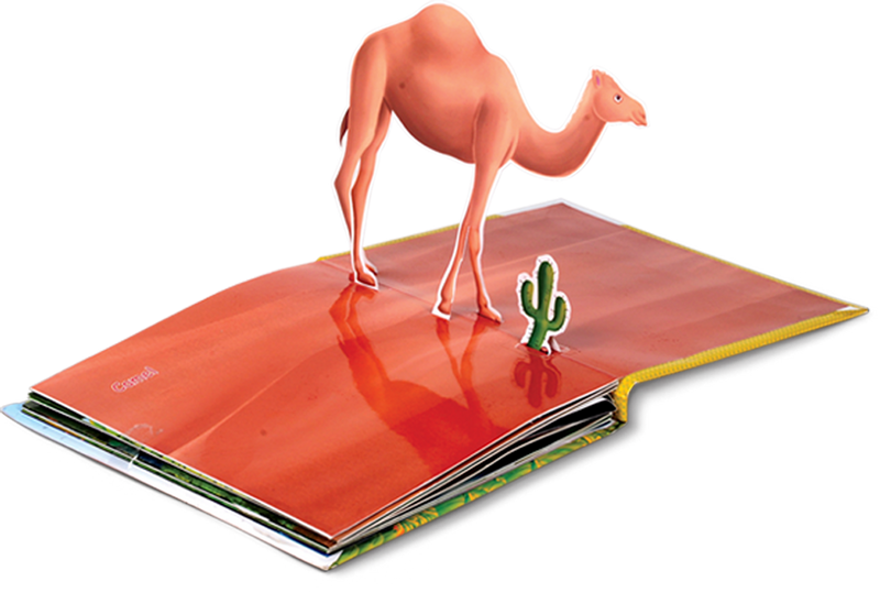 Animals Pop-up Book