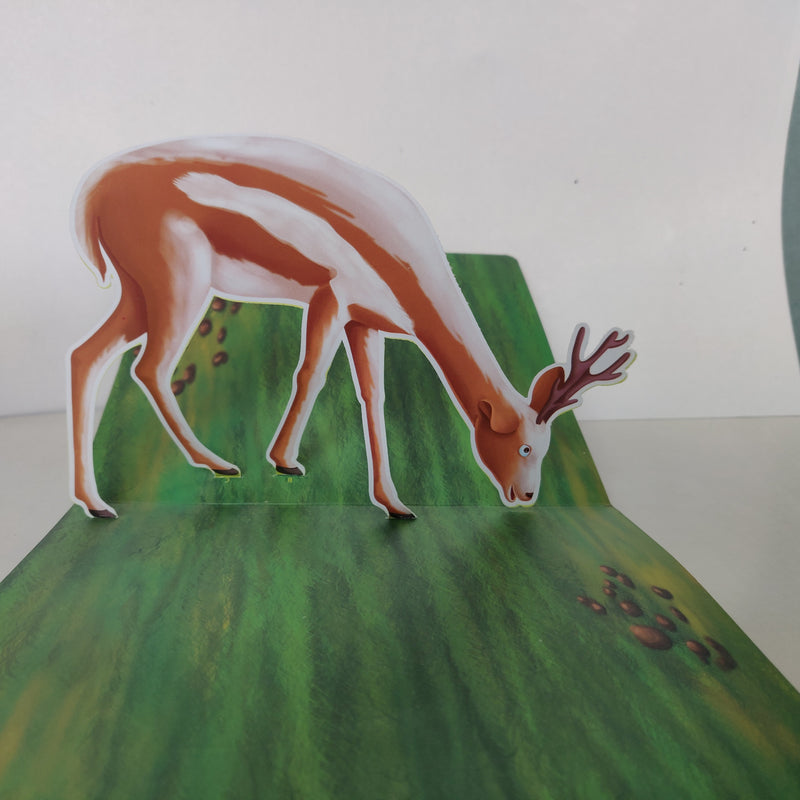 Animals Pop-up Book