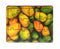 Montessori Jigsaw Puzzle - Indian National Fruit Mango