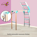 Wall-mounted foldable Jungle Gym