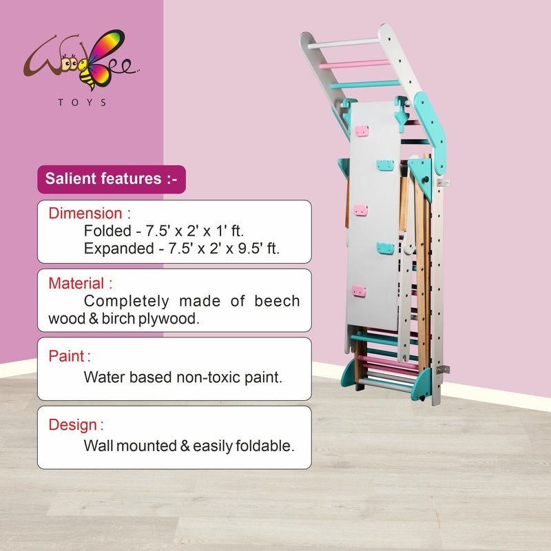 Toddler Gym Ladder Indoor Jungle Gym For Sale Wall-mounted