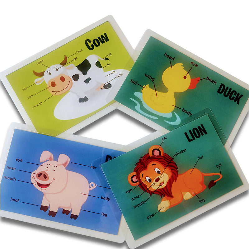 Animal Body Parts Flashcards- Pack of 9