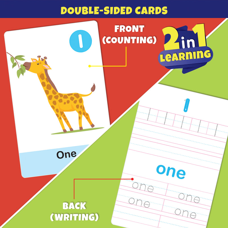 Little Berry NUMBERS Write & Wipe Jumbo Flash Cards (With Marker Pen) for Kids 2+ Years