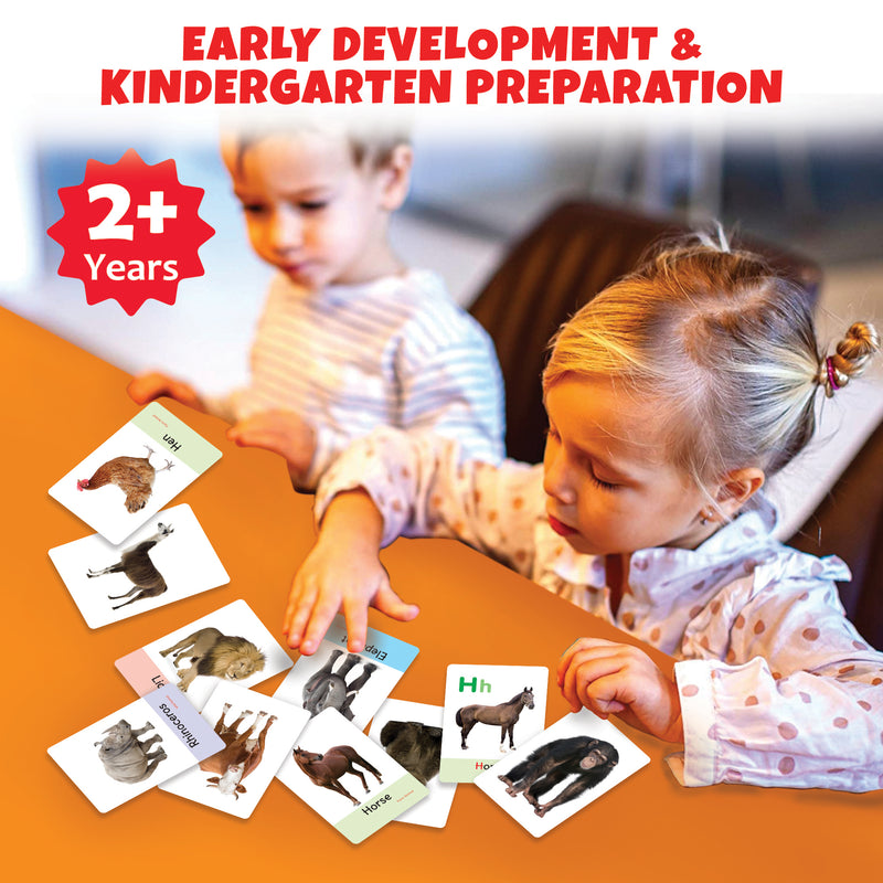 Little Berry My First Animals Flash Cards for Kids (36 cards) - Fun Learning Game