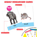 Little Berry Big Flashcards for Kids (Set of 5): ABC, Number, Transport, Opposite, Sight Word