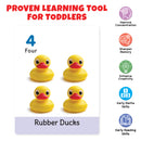 Little Berry Big Flash Cards for Kids (Set of 2): Alphabets and Numbers - 64 Cards