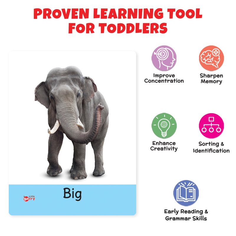 Little Berry Big Flashcards for Kids (Set of 3): Transport, Opposite & Sight Words - 96 Cards