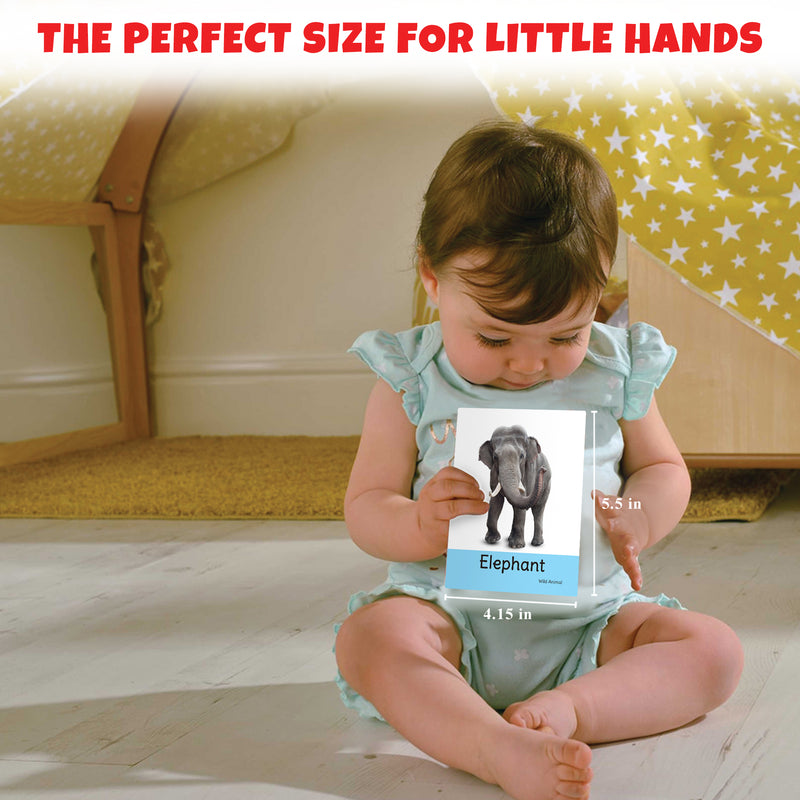 Little Berry Big Flash Cards for Kids (Set of 2): Shapes, Colours and Animals - 64 Cards