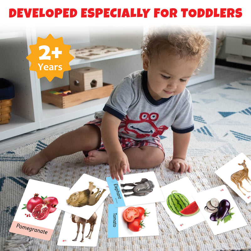 Little Berry Big Flash Cards for Kids (Set of 3): Fruits, Vegetables and Animals - 96 Cards