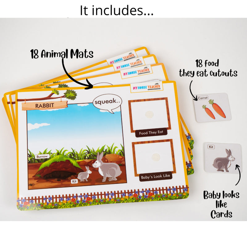 Animal Bundle - All about 18 animal homes, baby names, what they eat and how they sound