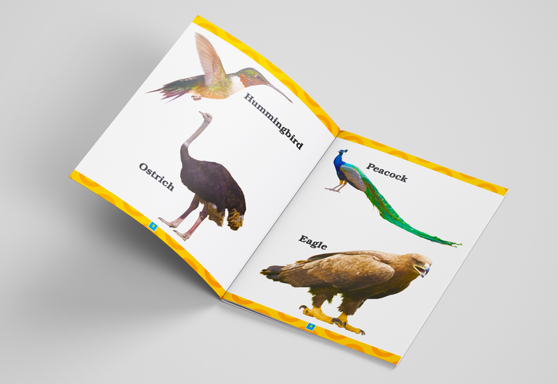 My First Books Combo (set of 5)