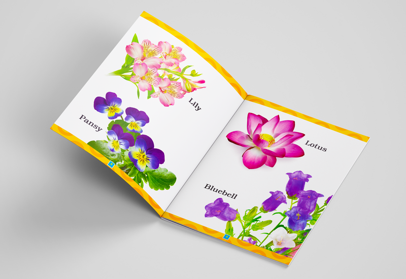 My First Books Combo (set of 5)