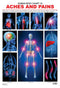 The Pains : Reference Educational Wall Chart By Dreamland Publications 9788184511390